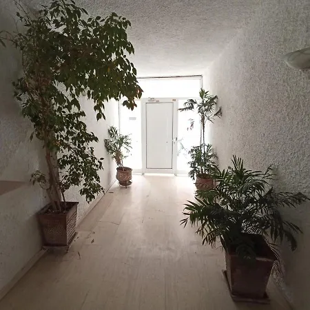 Tiny Penthouse, Big Terrace